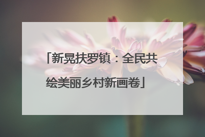 新晃扶罗镇：全民共绘美丽乡村新画卷