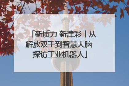 新质力 新津彩丨从解放双手到智慧大脑 探访工业机器人