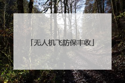 无人机飞防保丰收