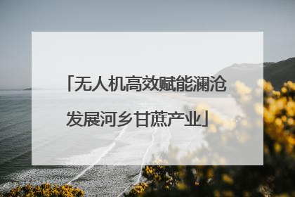 无人机高效赋能澜沧发展河乡甘蔗产业