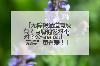 无障碍通道有没有？盲道铺设对不对？公益诉讼让“无碍”更有爱！