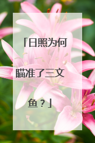 日照为何瞄准了三文鱼？