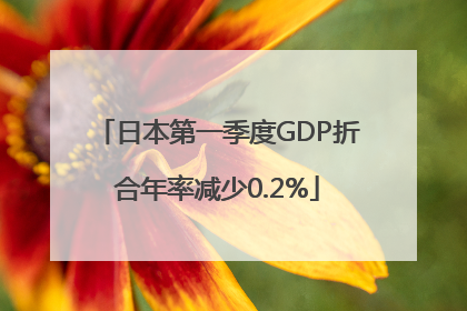 日本第一季度GDP折合年率减少0.2%