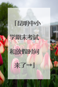 昆明中小学期末考试和放假时间来了→