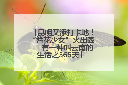 昆明又添打卡地！“簪花少女”火出圈——有一种叫云南的生活之365天