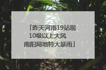昨天河南19站现10级以上大风  南阳局地特大暴雨