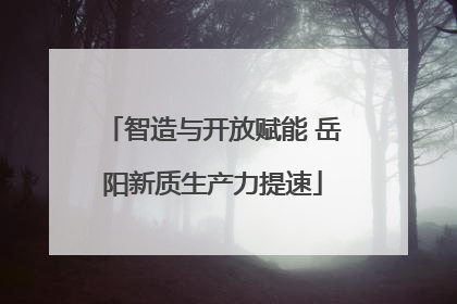 智造与开放赋能 岳阳新质生产力提速