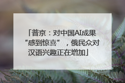 普京：对中国AI成果“感到惊喜”，俄民众对汉语兴趣正在增加