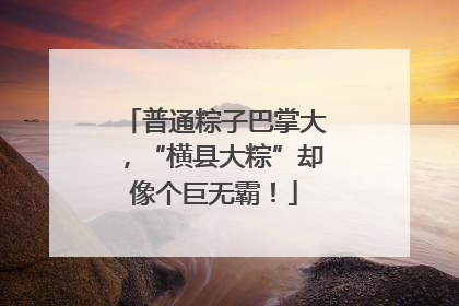 普通粽子巴掌大，“横县大粽”却像个巨无霸！