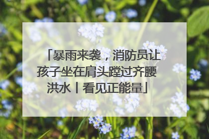 暴雨来袭，消防员让孩子坐在肩头蹚过齐腰洪水丨看见正能量