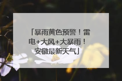 暴雨黄色预警！雷电+大风+大暴雨！安徽最新天气