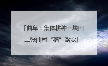 曲阜：集体耕种一块田 二张曲村“稻”路宽