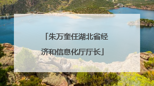 朱万奎任湖北省经济和信息化厅厅长