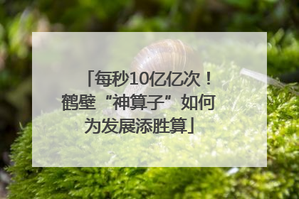 每秒10亿亿次！鹤壁“神算子”如何为发展添胜算