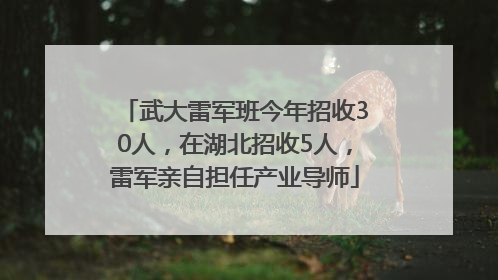 武大雷军班今年招收30人，在湖北招收5人，雷军亲自担任产业导师