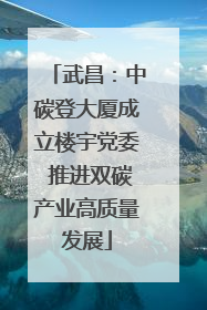 武昌：中碳登大厦成立楼宇党委 推进双碳产业高质量发展