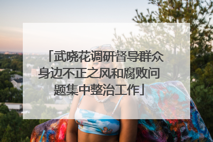 武晓花调研督导群众身边不正之风和腐败问题集中整治工作
