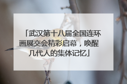 武汉第十八届全国连环画展交会精彩启幕，唤醒几代人的集体记忆