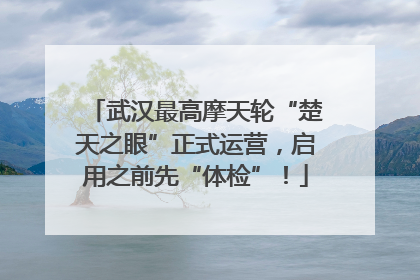 武汉最高摩天轮“楚天之眼”正式运营，启用之前先“体检”！