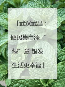 武汉武昌：便民集市添“绿”意 银发生活更幸福