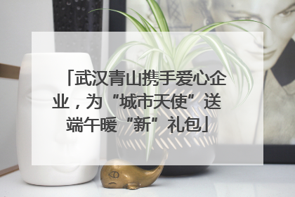 武汉青山携手爱心企业，为“城市天使”送端午暖“新”礼包
