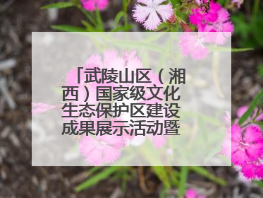 武陵山区（湘西）国家级文化生态保护区建设成果展示活动暨龙山县第十届舍巴日即将启幕