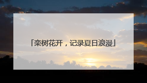 栾树花开，记录夏日浪漫
