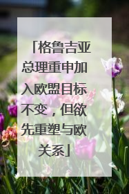 格鲁吉亚总理重申加入欧盟目标不变，但欲先重塑与欧关系