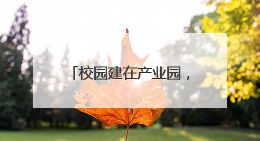 校园建在产业园，专业建在产业链