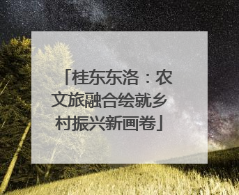 桂东东洛：农文旅融合绘就乡村振兴新画卷