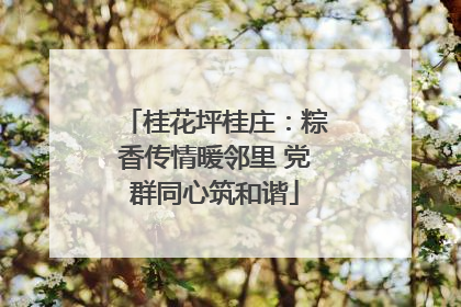 桂花坪桂庄：粽香传情暖邻里 党群同心筑和谐