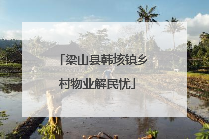 梁山县韩垓镇乡村物业解民忧