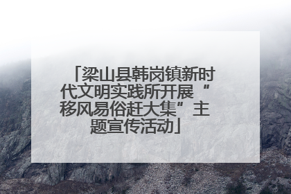 梁山县韩岗镇新时代文明实践所开展“移风易俗赶大集”主题宣传活动