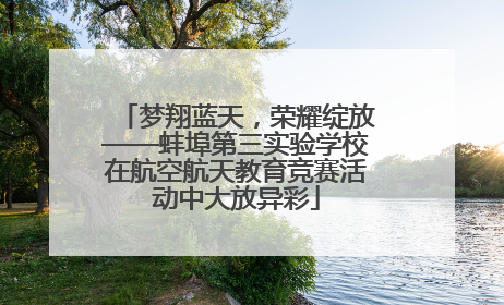 梦翔蓝天，荣耀绽放——蚌埠第三实验学校在航空航天教育竞赛活动中大放异彩