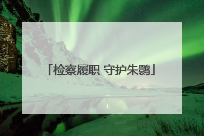 检察履职 守护朱鹮