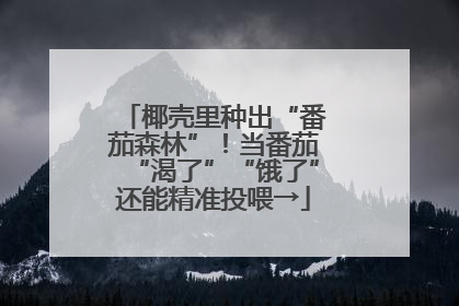 椰壳里种出“番茄森林”！当番茄“渴了”“饿了”还能精准投喂→