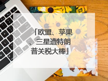 欧盟、苹果、三星遭特朗普关税大棒