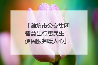 潍坊市公交集团智慧出行惠民生 便民服务暖人心