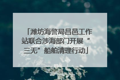潍坊海警局昌邑工作站联合涉海部门开展“三无”船舶清理行动