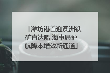 潍坊港首迎澳洲铁矿直达船 海事局护航降本增效新通道