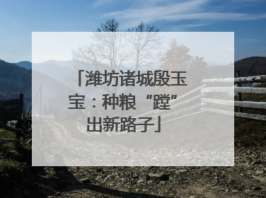 潍坊诸城殷玉宝：种粮“蹚”出新路子