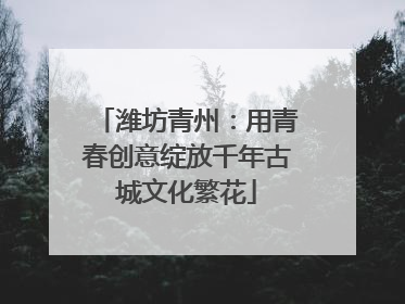 潍坊青州：用青春创意绽放千年古城文化繁花