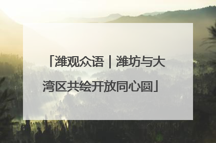 潍观众语｜潍坊与大湾区共绘开放同心圆