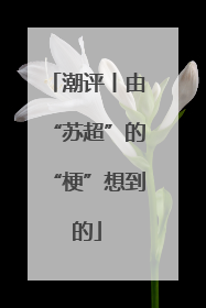 潮评丨由“苏超”的“梗”想到的
