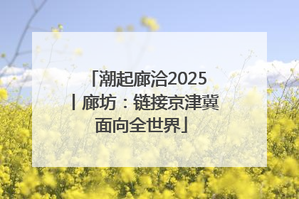 潮起廊洽2025丨廊坊：链接京津冀 面向全世界