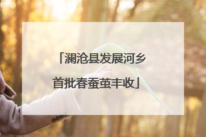澜沧县发展河乡首批春蚕茧丰收