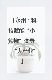 永州：科技赋能“小辣椒”变身“大产业”