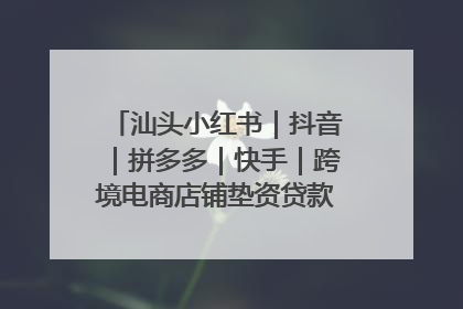 汕头小红书｜抖音｜拼多多｜快手｜跨境电商店铺垫资贷款企业-漫商易