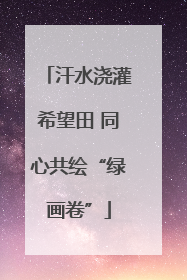 汗水浇灌希望田 同心共绘“绿画卷”