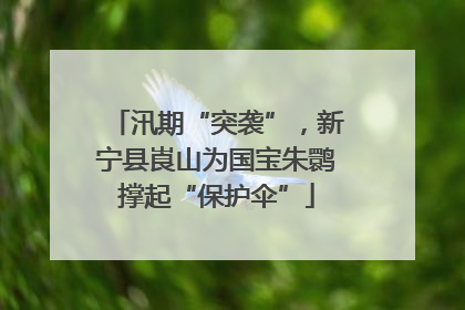 汛期“突袭”，新宁县崀山为国宝朱鹮撑起“保护伞”